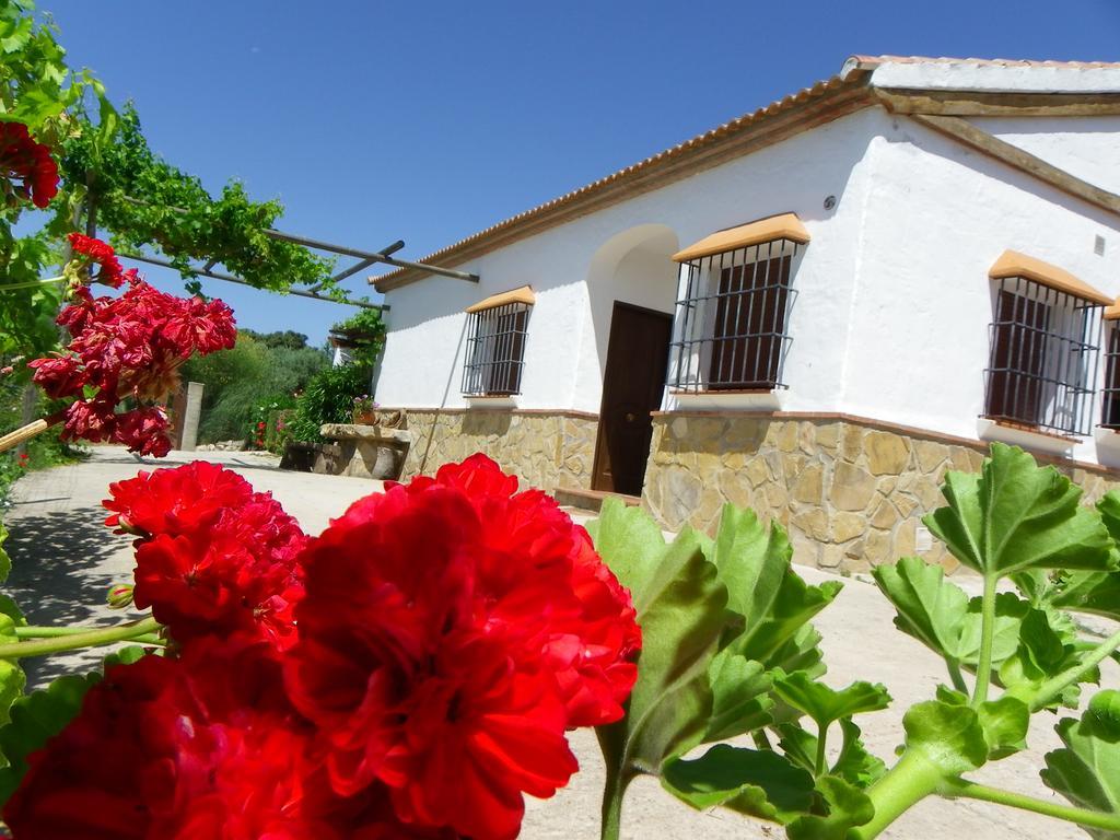 Casa Rural La Parada La Joya Esterno foto